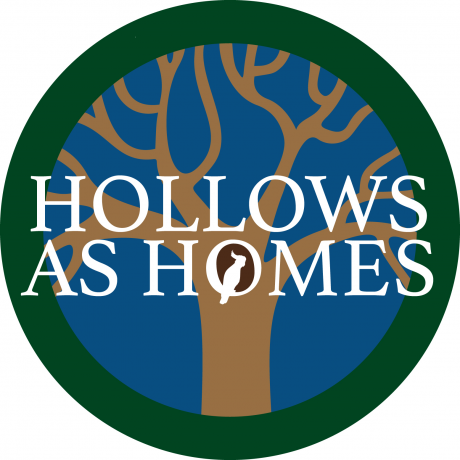Hollows as Homes