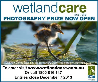 WetlandCare photography prize 2014